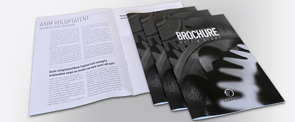 Impression Brochure Noir et blanc