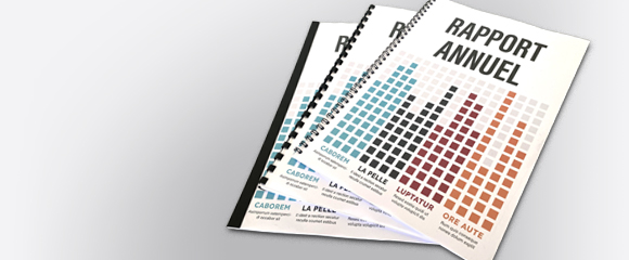 Impression Rapport annuel
