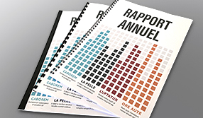 Rapport annuel