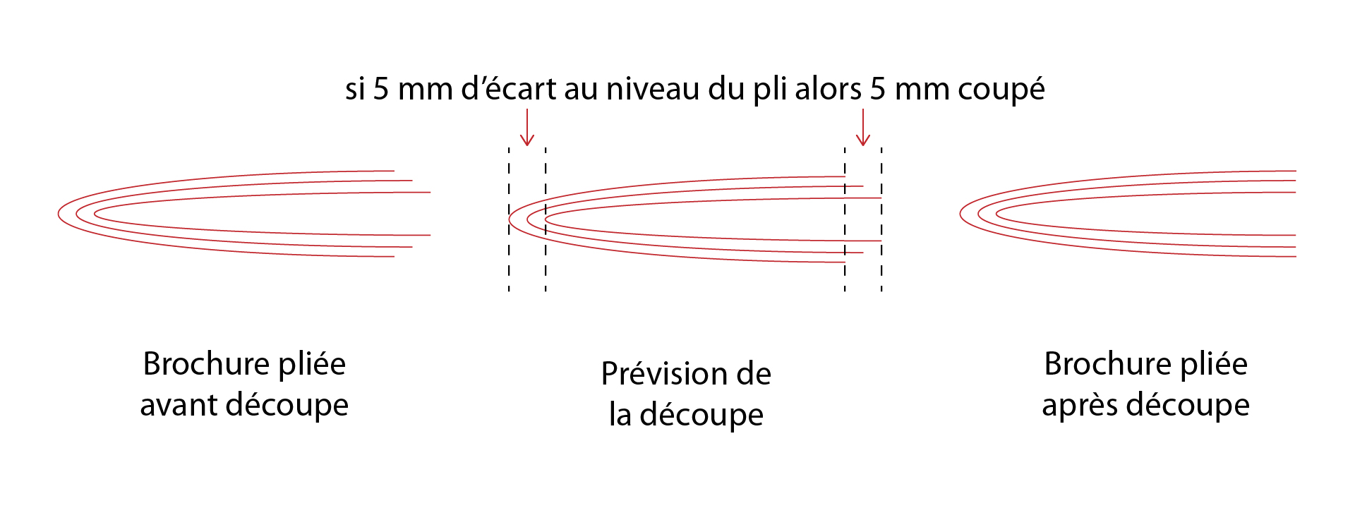 Impression de brochure à reliure métallique en courte et moyenne série